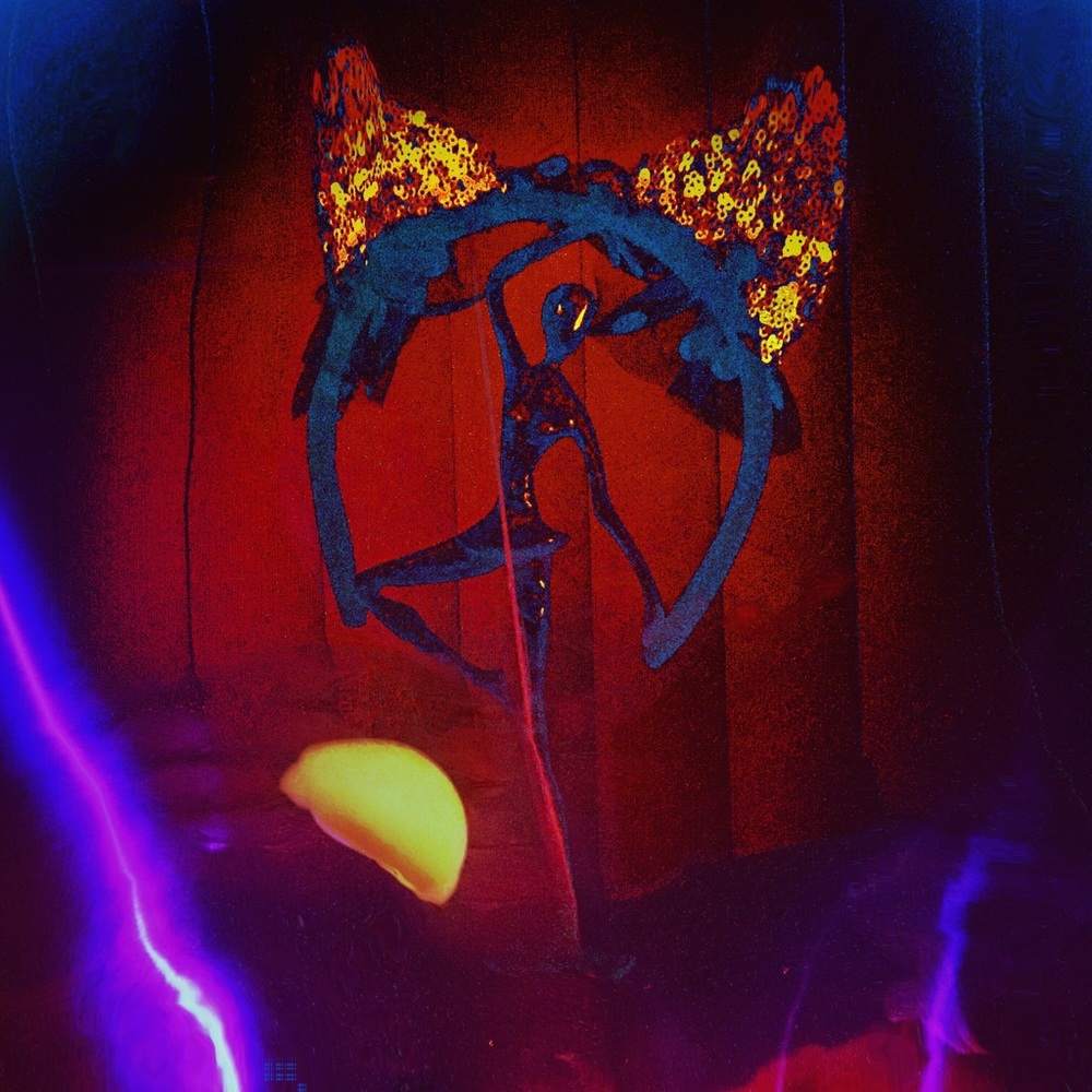 Meet your Posher, Jason